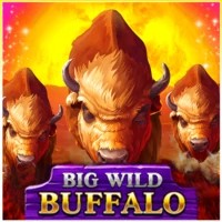 game logo by Belatra Games on spinhub-casino.uk